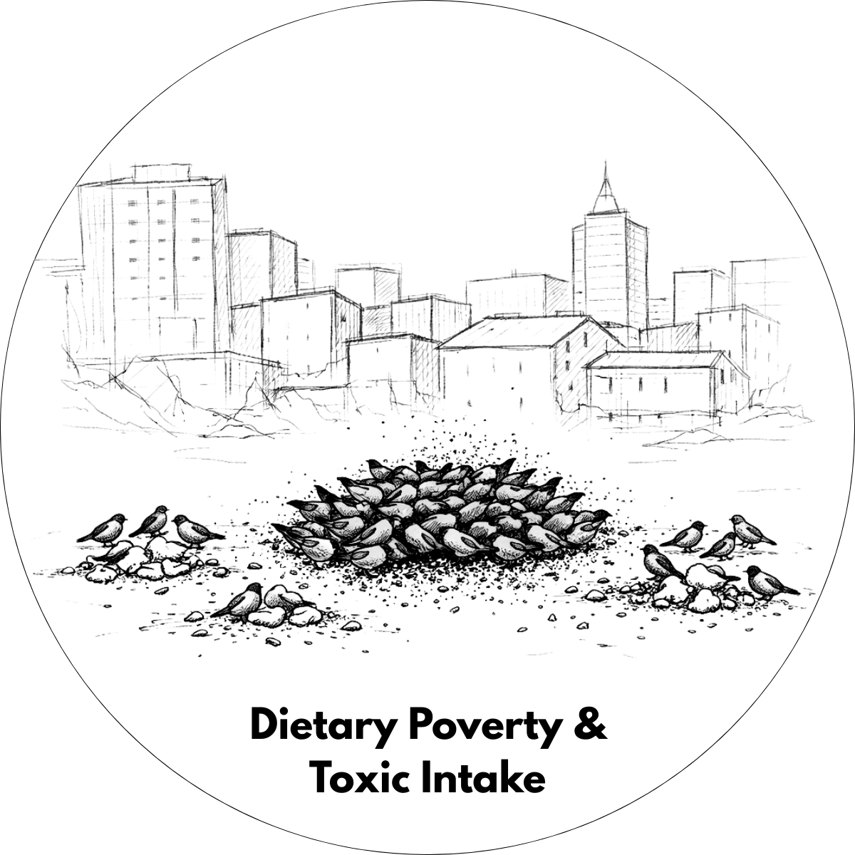 Dietary Poverty & Toxic Intake
